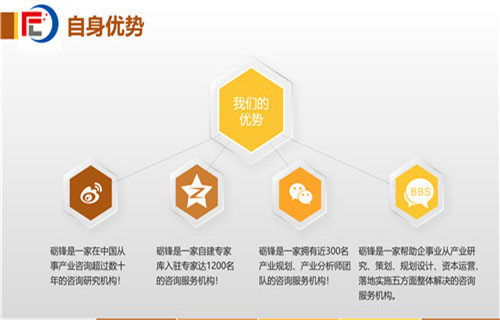 六安市社會(huì)穩(wěn)定風(fēng)險(xiǎn)分析評(píng)估報(bào)告（甲級(jí)）——社會(huì)經(jīng)濟(jì)咨詢(xún)服務(wù)的核心價(jià)值與實(shí)施路徑